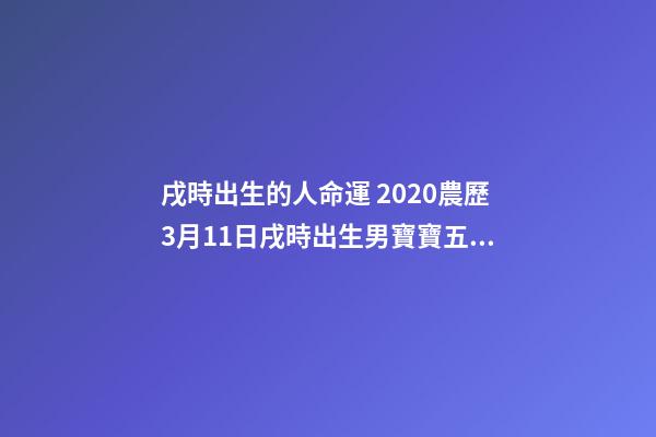 戌時出生的人命運 2020農歷3月11日戌時出生男寶寶五行八字是什么，八字還缺什么？（起名字作為參考）